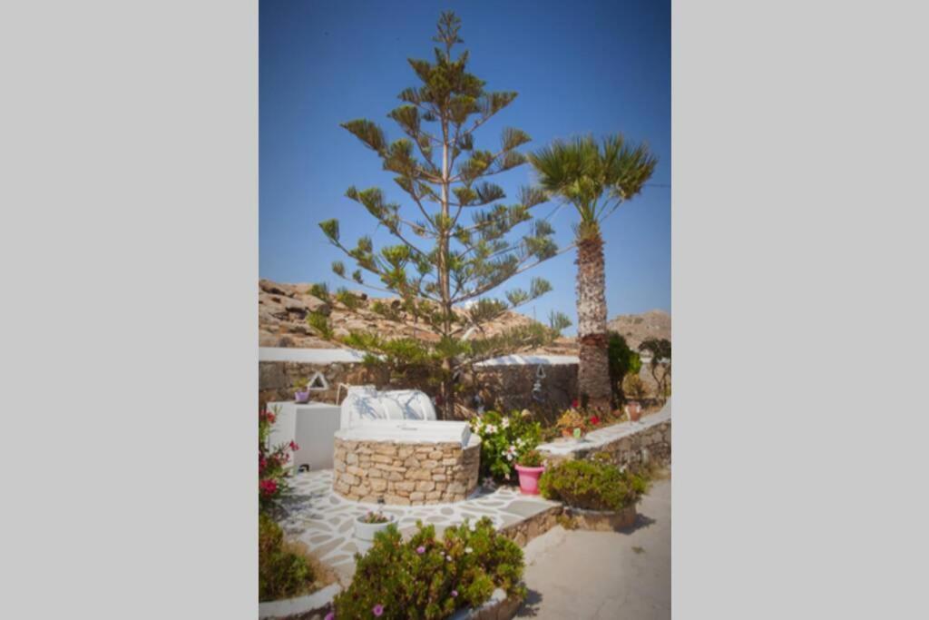 White Dreams Studio Mykonos Town المظهر الخارجي الصورة